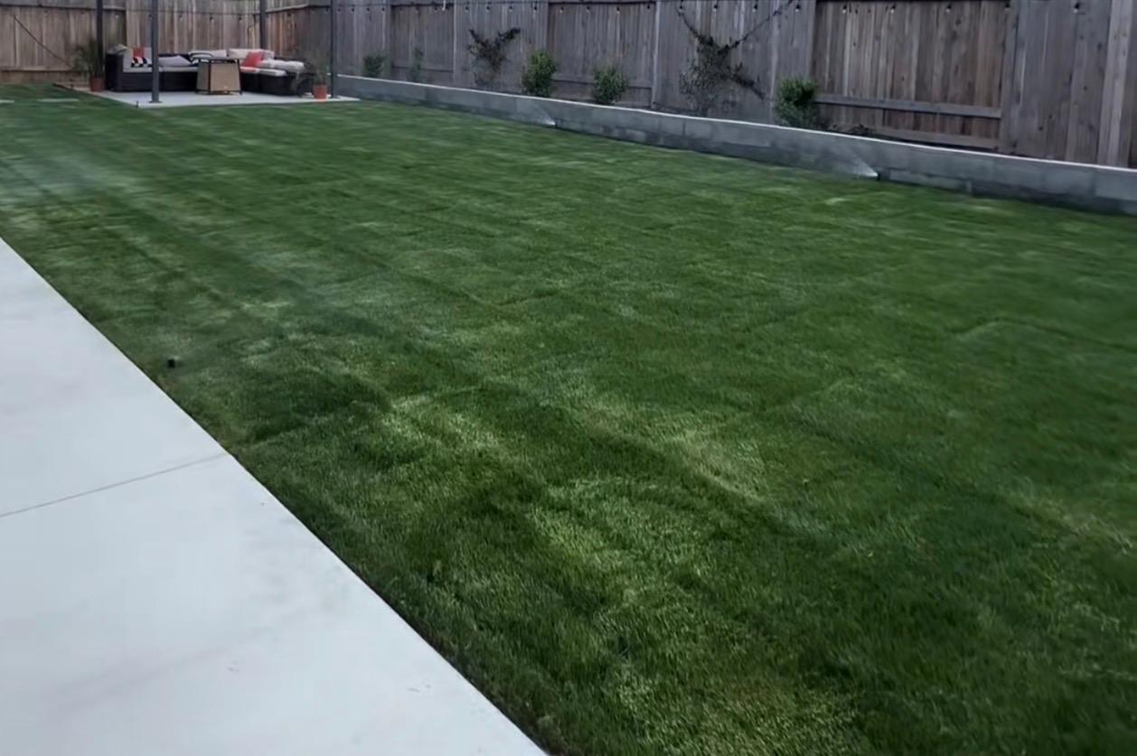 Sod Installation